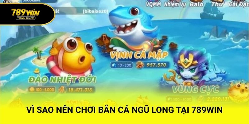 Vì sao nên chơi Bắn cá Ngũ Long tại 789WIN