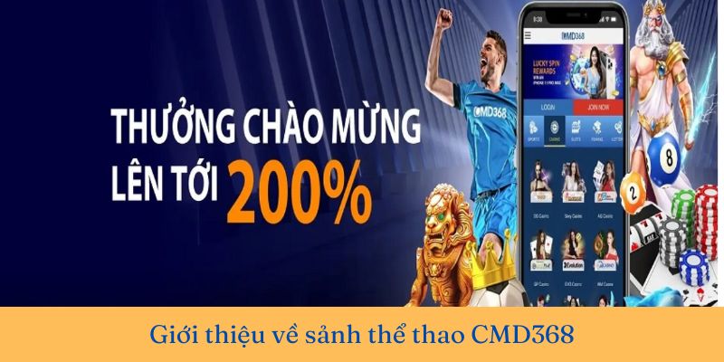 Giới thiệu sơ lược về sảnh thể thao CMD368
