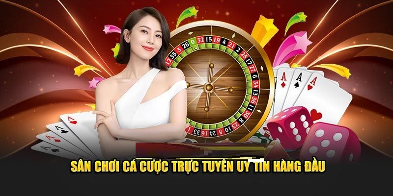 Tổng quan về nhà cái và cách đặt cược trên 789Win