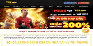 Rồng Bạch Kim