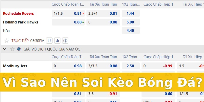 Lý do cần tìm hiểu cách soi kèo bóng đá